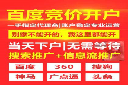 某品牌SEM广告策略揭秘——代运营公司的智慧